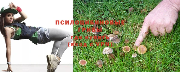 прущие грибы Кукмор