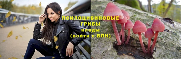 герыч Алзамай